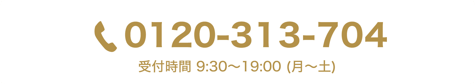 0120-313-704