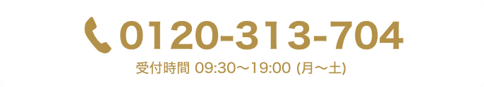 0120-313-704