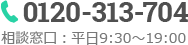0120-313-704
